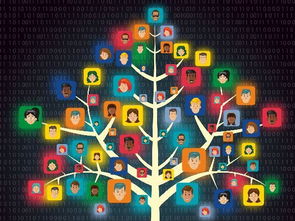 網絡營銷策劃 如何根據崗位職級精準賦能與分工